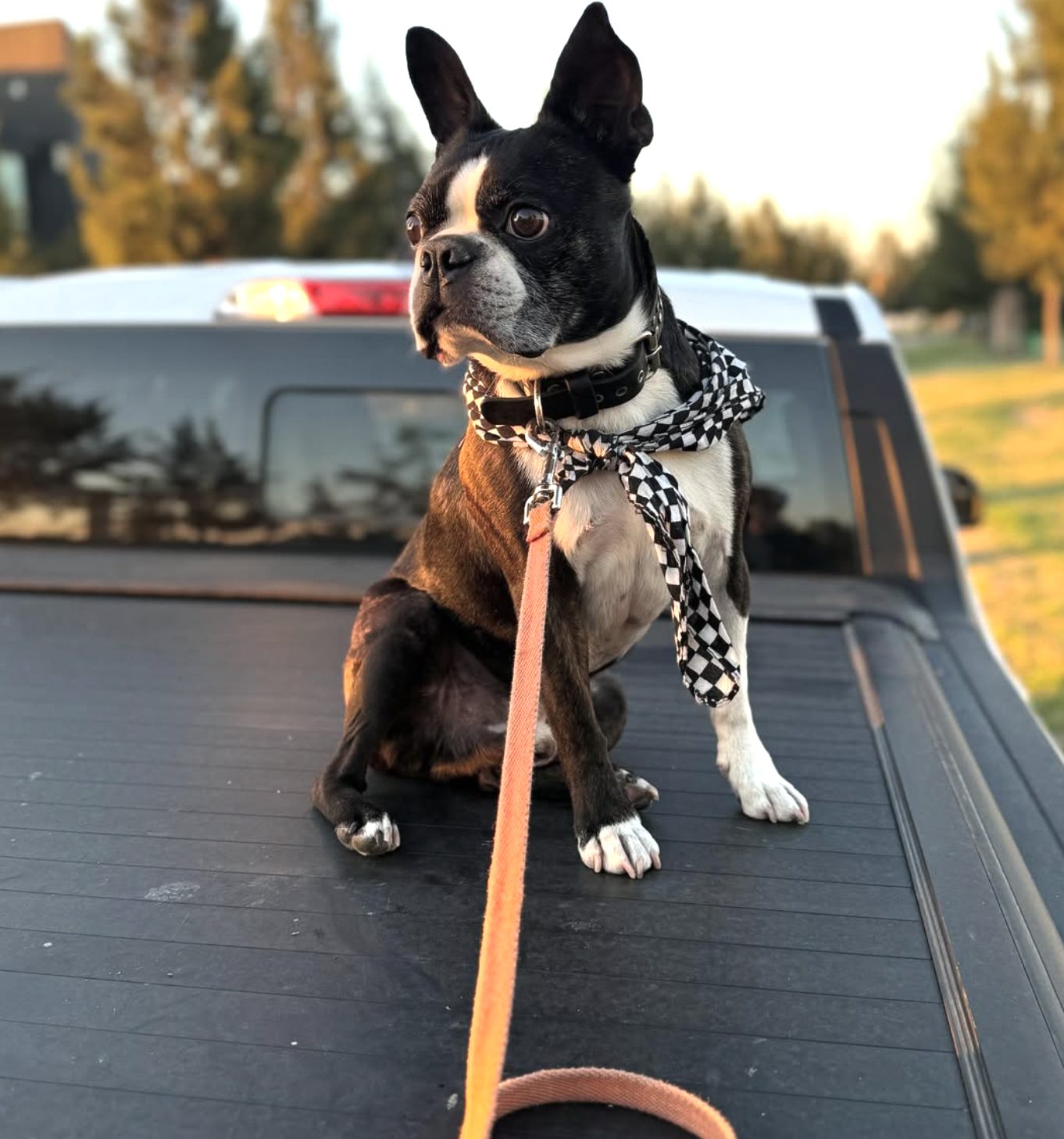 Lorenzo